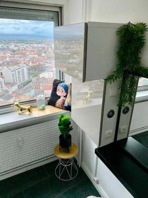 Grand Appartement 2 Chambres 5 Pers Max, Vue Panoramique Avec Parking Mulhouse Bagian luar foto