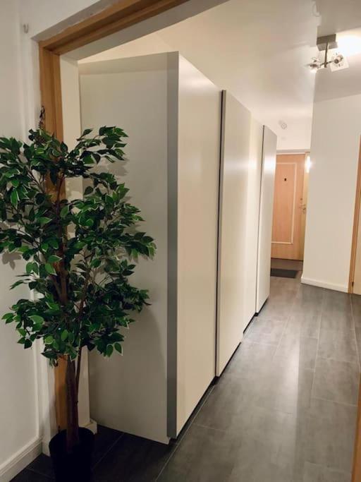 Grand Appartement 2 Chambres 5 Pers Max, Vue Panoramique Avec Parking Mulhouse Bagian luar foto