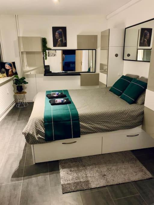 Grand Appartement 2 Chambres 5 Pers Max, Vue Panoramique Avec Parking Mulhouse Bagian luar foto